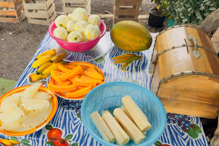 ISABELA ISLAND WONDERS: SULPHUR MINE + AGRO TOUR EXPERIENCE