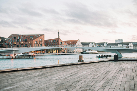 Copenhague: Excursão a pé particular com o Palácio de Amalienborg