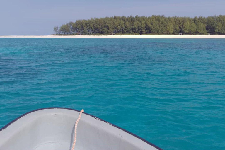 Zanzibar: Snorkeling sull&#039;isola di Mnemba e avventura con i delfini