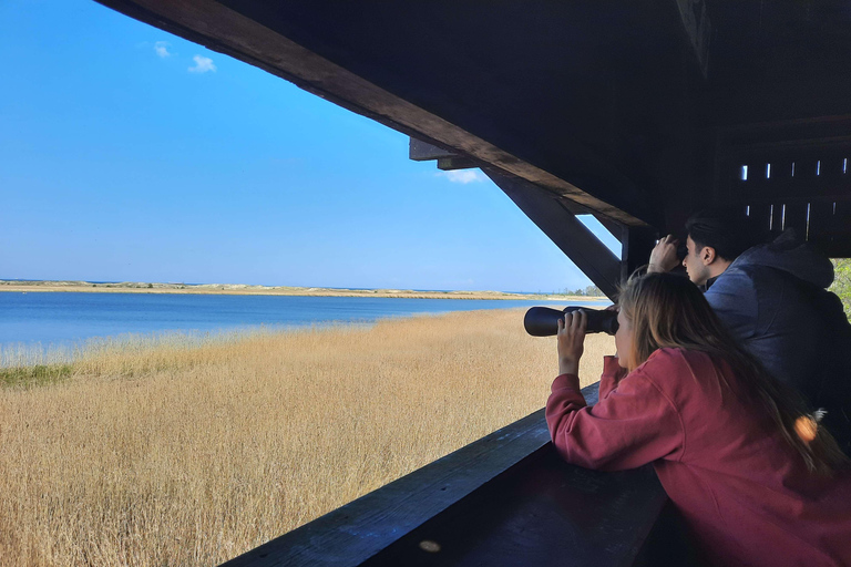 Explorez l&#039;île de Sobieszewo : Visite à pied de la nature et de la faune