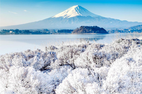 Excursion d'une journée aux 5 principaux sites du Mont Fuji : Parc Arakurayama, Oshino HakkaiDépart à 8h30 de la gare de Shinjuku.