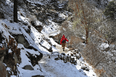 Nepal: Excursión al Campo Base del Everest