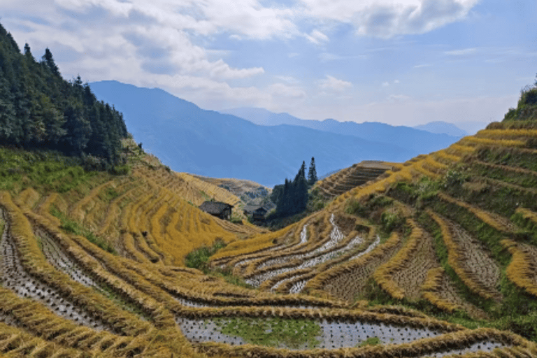 Guilin: Longji Rice Terraces & Yao Village Day Trip
