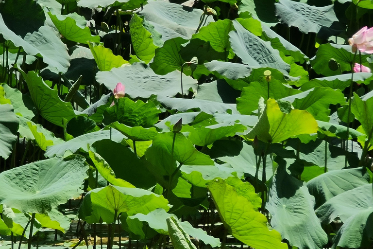 Da Muscat: Avventura a Wadi Shab, Sinkhole e Spiaggia delle Pinne