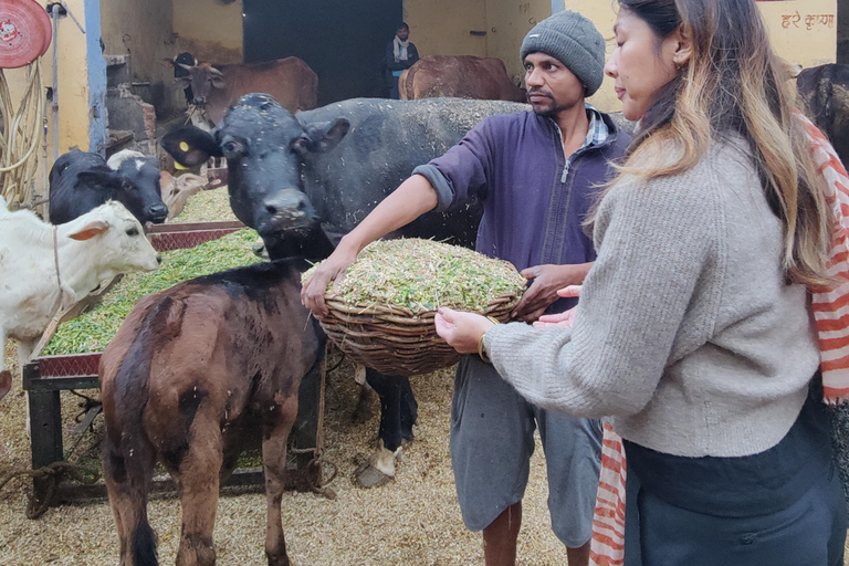 Delhi: Private Yamuna RiverGhat, Wrestling &amp;Urdu Calligraphy