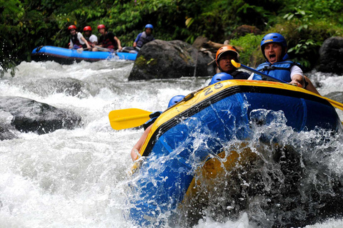 Bali: White Water Rafting and ATV Adventure with Lunch