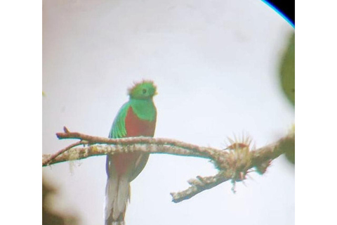 لاس فيراباس: جولة لمدة 3 أيام إلى سيموك شامبي والكثير من الطبيعة