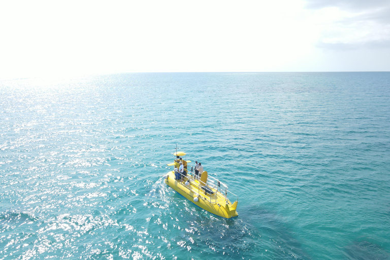 Zanzíbar:Excursión a la Granja de Especias,Experiencia submarina en el arrecife y la playaZanzíbar:Excursión a la Granja de Especias,Experiencia submarina en el arrecife y en l