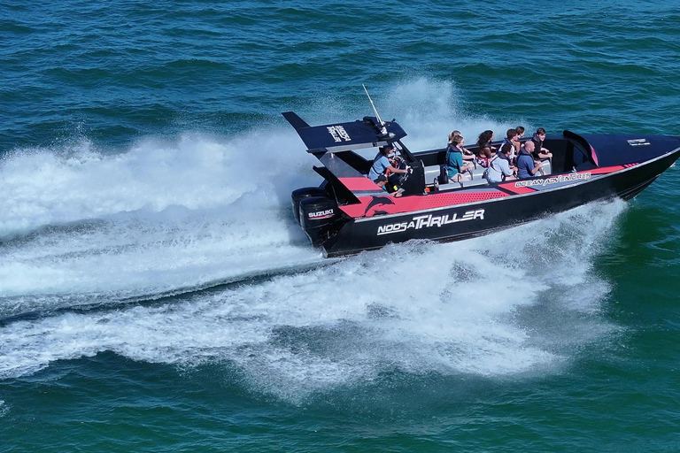 Noosa Thriller Whale Watching