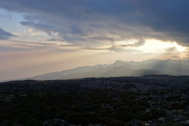 La mejor experiencia de excursión de un día por la meseta de Shira en el Kilimanjaro