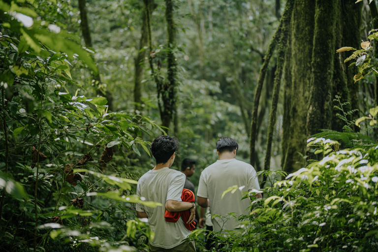 Bali: Private Shore Excursion from Celukan Bawang Port Best Asian Tour Picks – Shared Experiences ( Full Day )