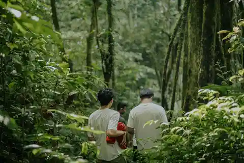 Munduk: Forest Trek & Ancient Lake Tamblingan Adventure
