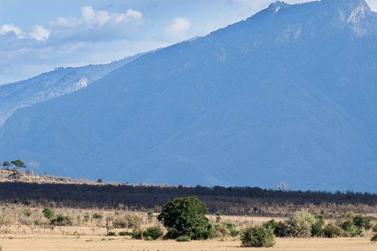 阿鲁沙：3日姆科马齐国家公园与马赛村落之旅