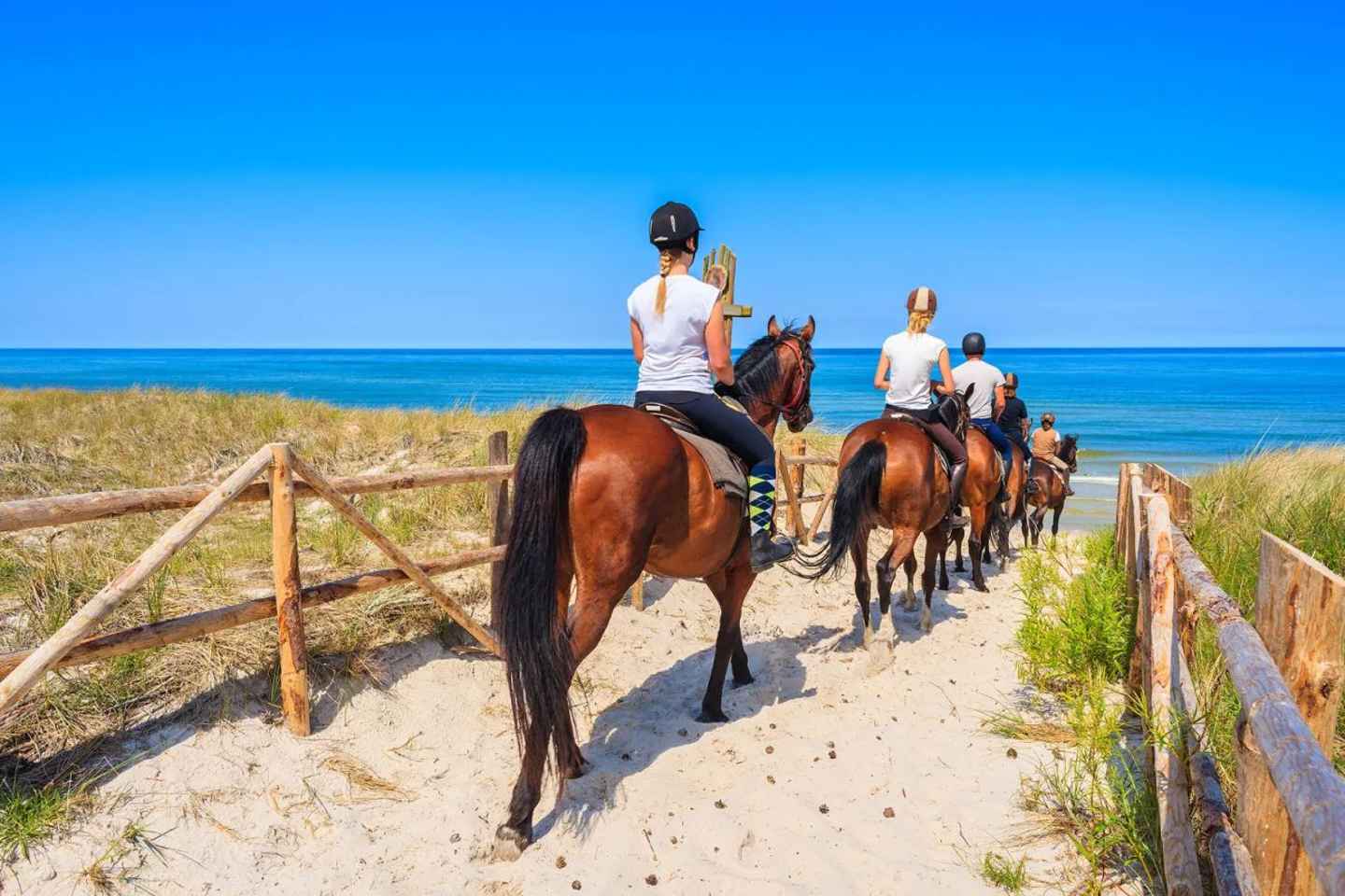 Alanya: Horse Riding Tour with Hotel Transfers