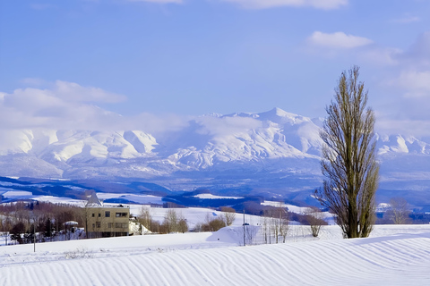 Sapporo: Asahiyama Zoo, waterval en Blue Pond Tour8:10 uur: ontmoeting bij de noordelijke uitgang van JR Sapporo Station