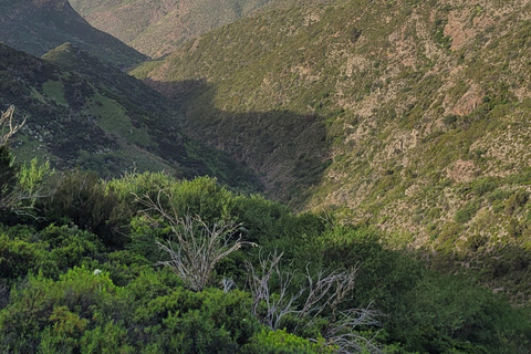 Teno: Circular hike from Erjos over the mountain ridge with views of Masca