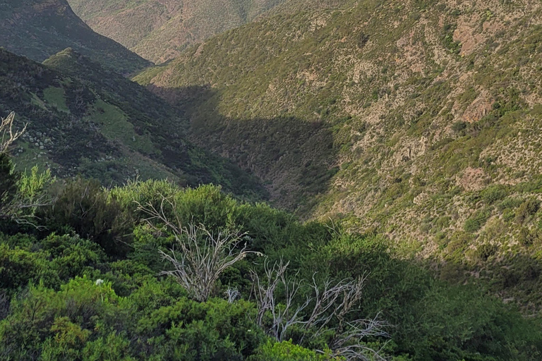 Teno: Circular hike from Erjos over the mountain ridge with views of Masca