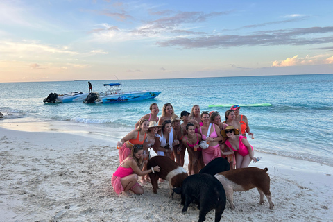 007-Mañana Todo Incluido Nadar con Cerdos en la Isla Rosa007 Todo Incluido-Nadar con cerdos en la Isla Rosa