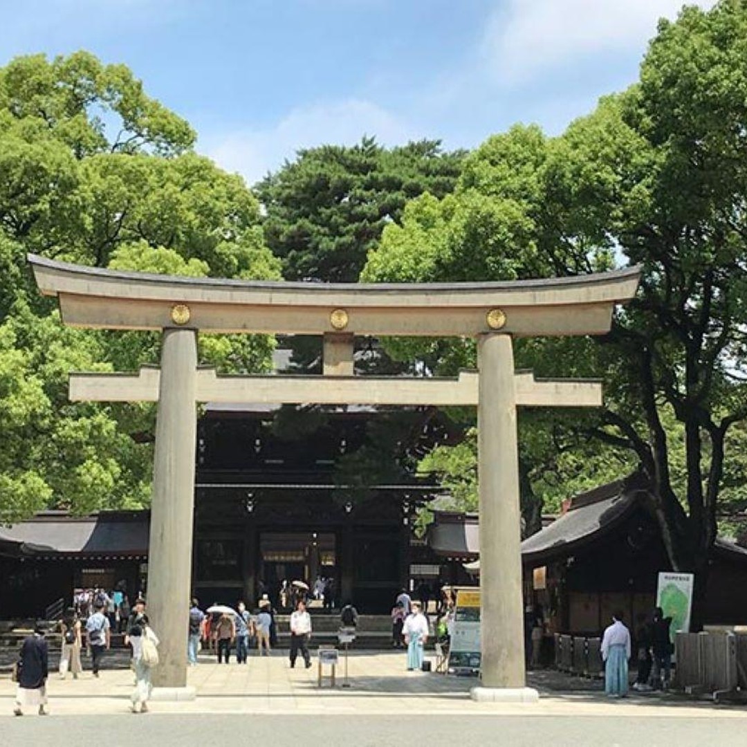 メディア コラージュ