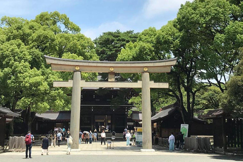 Tokio: 1 dag bustour met lunchVertrek Shinjuku