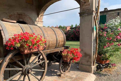 Modena: Visit and Tasting at an Antique Vinegar Cellar Modena: Guided tour of the Antica Acetaia with vinegar tasting