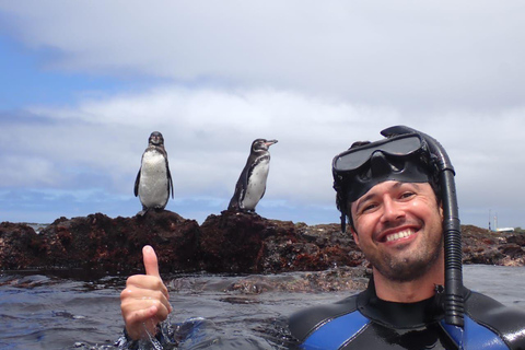 The Tunnels Tour Galapagos - CIG Tours