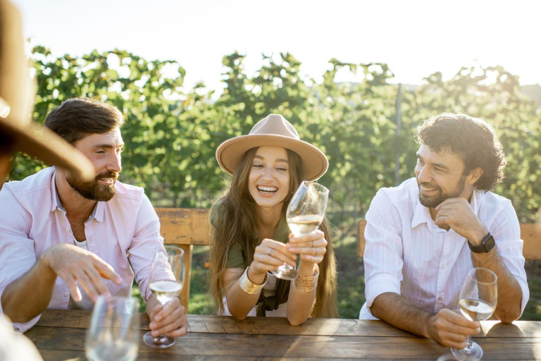 Vins et vues : Visite privée de l&#039;Otago au départ de Queenstow