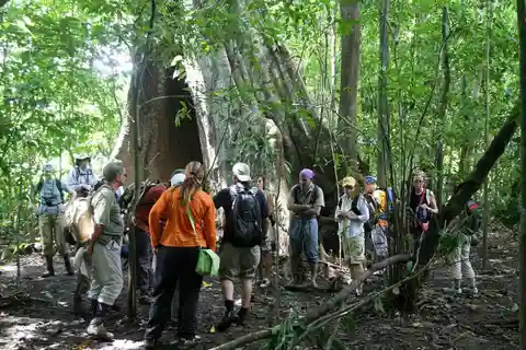 Guided Tour of Marino Ballena National Park with Naturalist