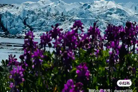 Anchorage: Matanuska Glacier Hike with Transfers