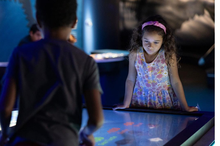 Houston: Entrada a la exposición de tiburones del Museo de Ciencias Naturales