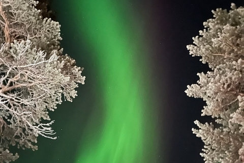 Saariselkä/Kakslauttanen: Private Aurora Hunt in Premium Car Saariselkä: Premium Northern Lights Car Hunt in Small Group