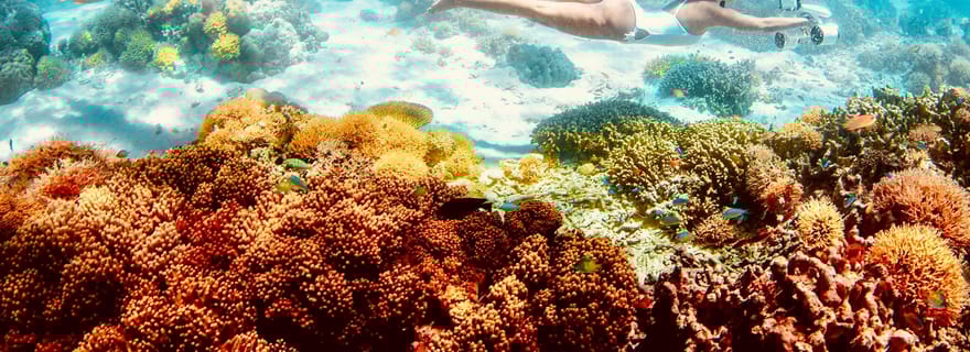 Location Scooter sous-marin en Guadeloupe