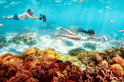 Underwater scooter rental in Guadeloupe