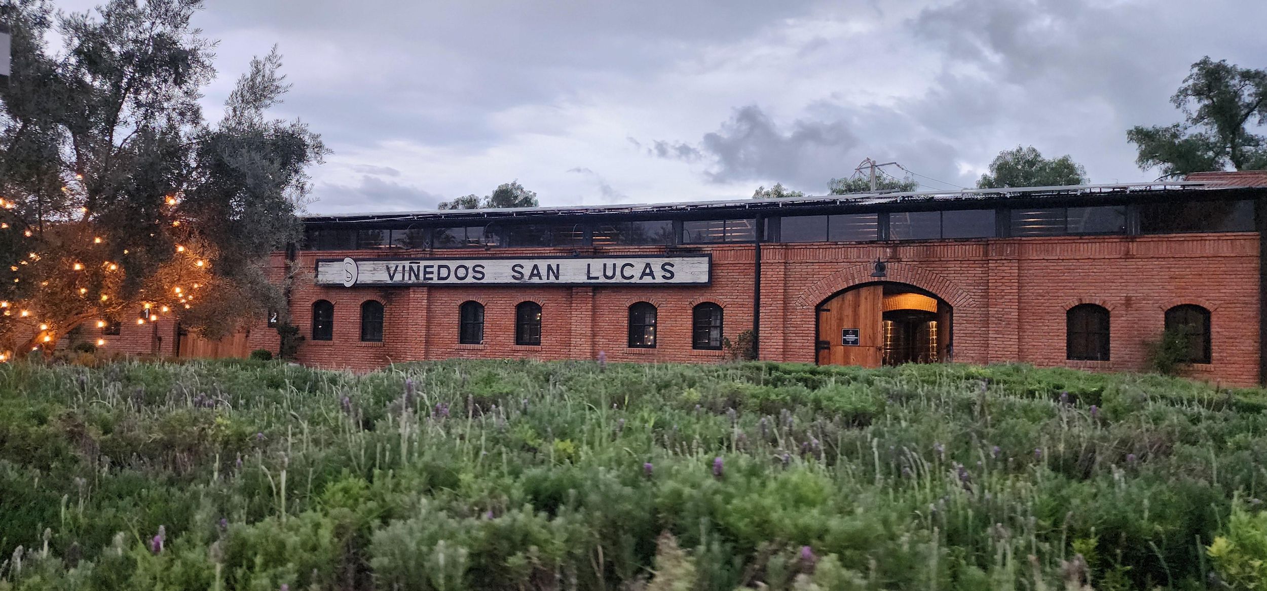 Querétaro: Independence Valley - Weintour durch Guanajuato