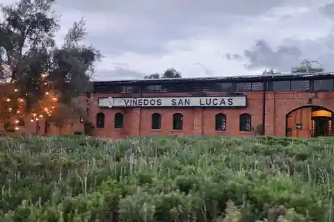 Querétaro : Vallée de l'Indépendance - Visite des vins de Guanajuato