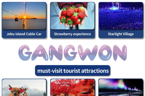 Gangwon-do: 10 HR Car Charter Tour