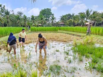 Biglietto per la vecchia fattoria di Phuket - Campagna Vita locale Cultura