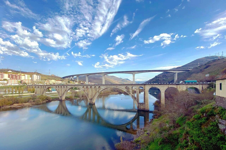 Half Day Douro Valley Tour with Cruise and Winery Lunch