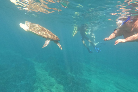 Paphos: Schildkrötenbeobachtung und Schnorchelausflug mit dem Seescooter