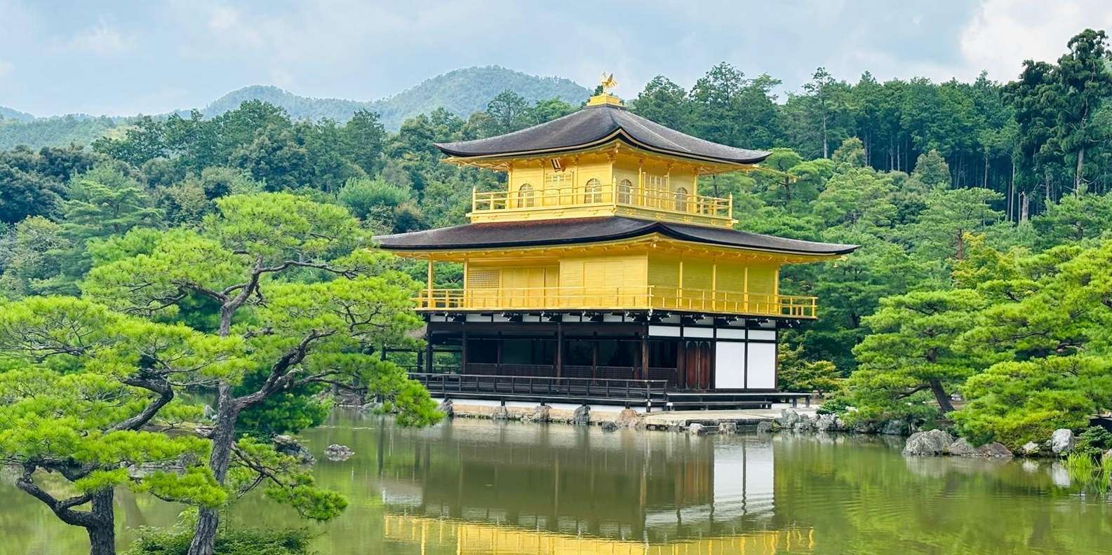 Kyoto/Osaka: Kyoto and Nara Customized Private Guided Tour
