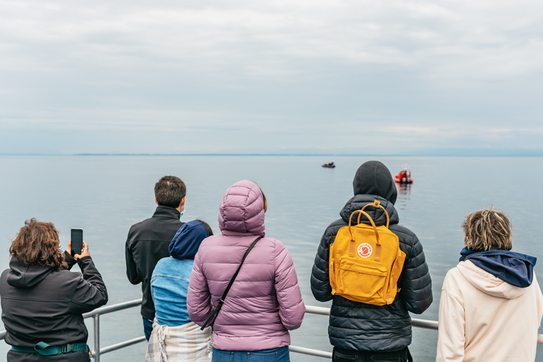 Vancouver : demi-journée d’observation de baleines