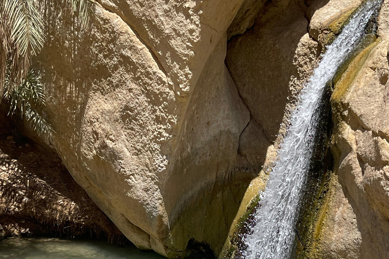 From Tunis: 2-Day Star Wars, Sahara Camp & Oasis Adventure