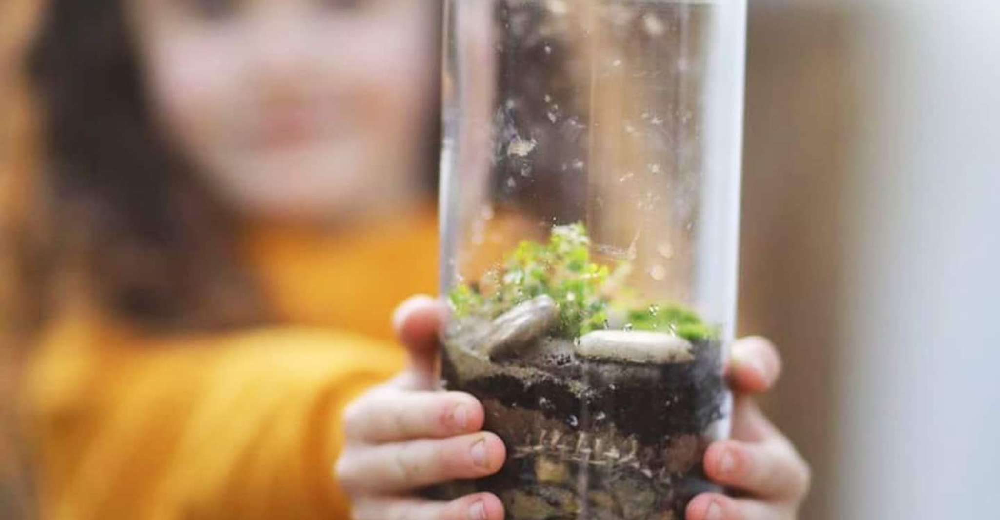 Terrarium Workshop - Housity