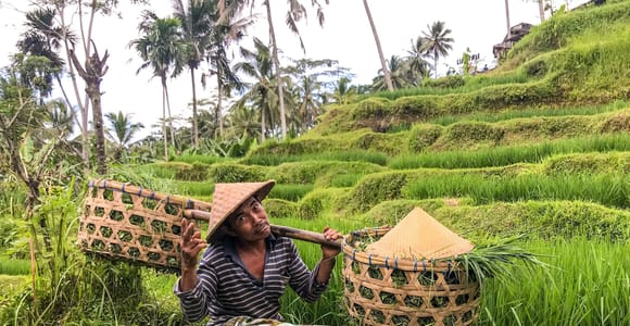 Bali/Munduk: Trekking Rice Terraces & Secret Waterfalls