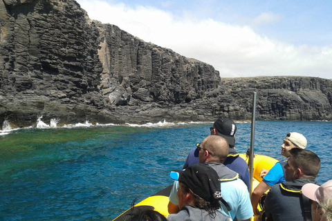 Lanzarote: avvistamento dei delfini in barca veloceTour mattutino con i delfini e bagno nella spiaggia di Papagayo