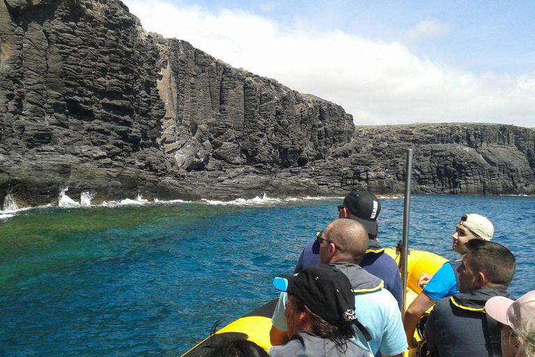 Lanzarote: avvistamento dei delfini in barca veloceSafari marino: i delfini nel loro habitat naturale