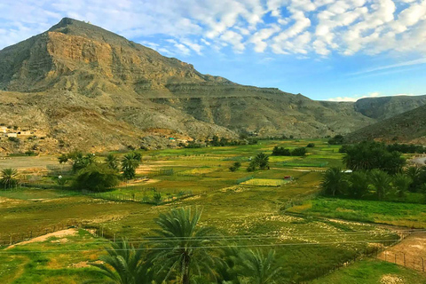 Z Ras Al Khaima: obserwacja delfinów i safari w Dżabal HarimFromRAK: Delfiny podczas snorkelingu i safari w Dżabal Harim