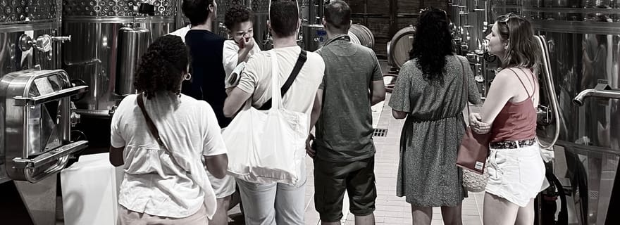 Dégustation de vin Saint-Florent & Patrimonio