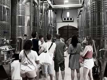 Wine Tasting Saint-Florent & Patrimonio