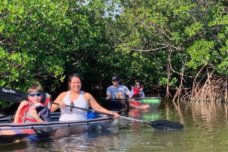 Vero Beach: Guided Clear Kayak Tours